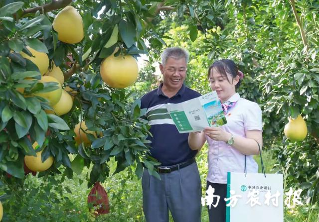 消费指南 第11页